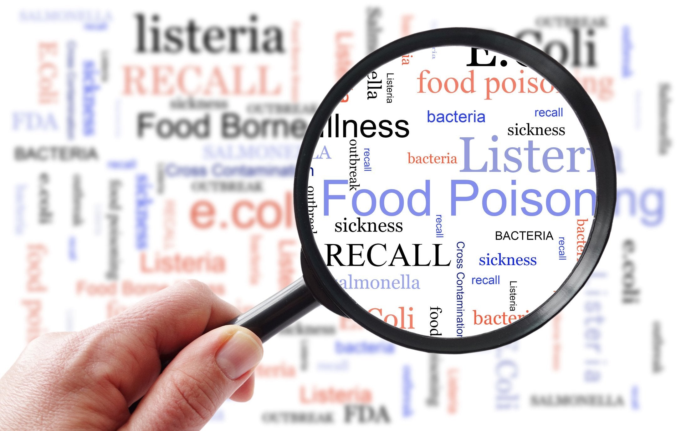 Navigating Food Safety: Addressing Salmonella, Listeria, and Lead Contamination Through Recent Recalls