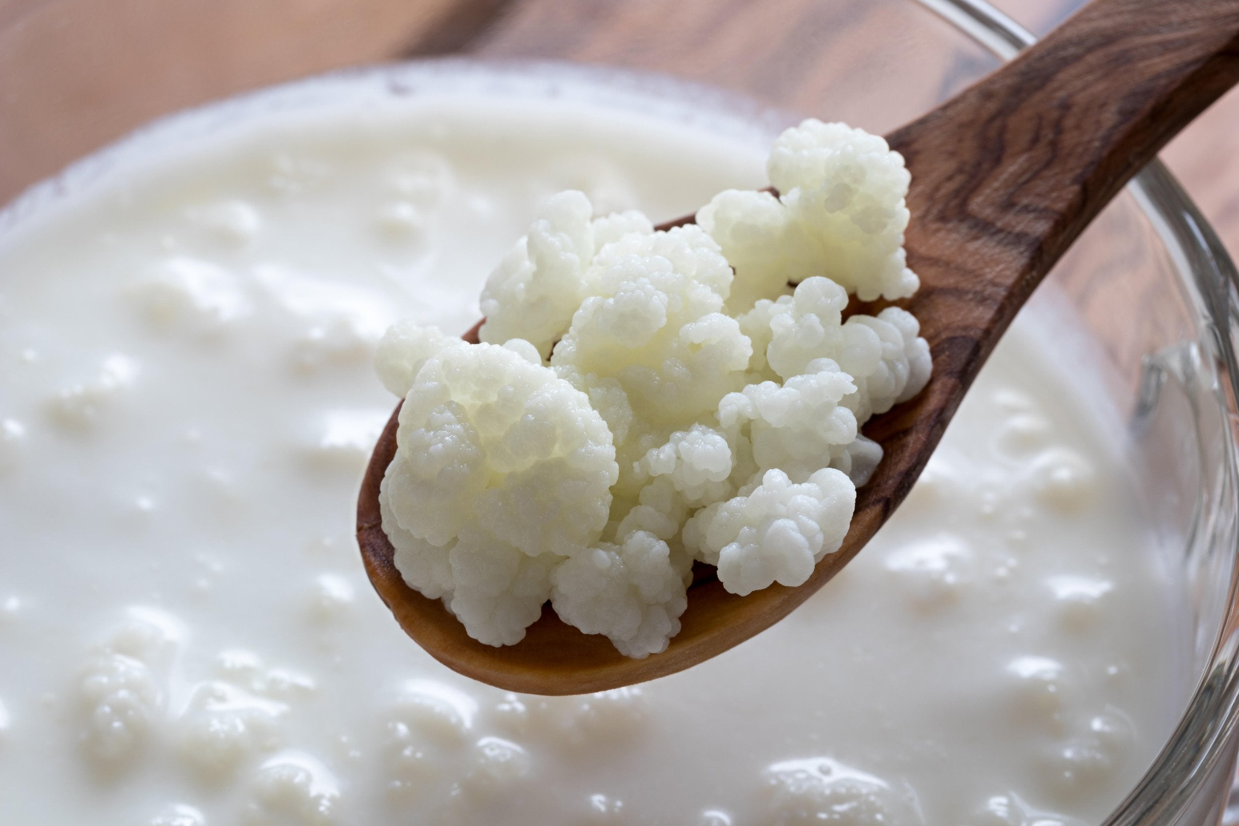 The Kefir Miracle: A True Story of How a Simple Fermented Drink Transformed a Man's Life